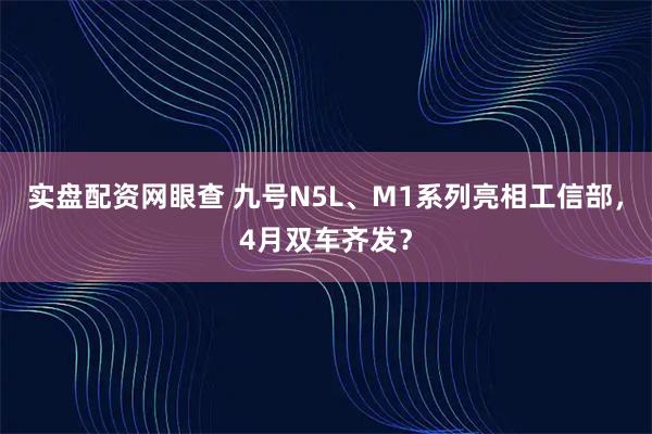 实盘配资网眼查 九号N5L、M1系列亮相工信部，4月双车齐发？